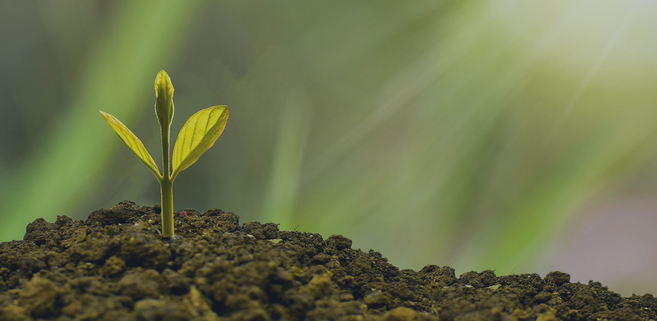 Curso da GESTÃO DE CRÉDITOS - Curso e Implementação: Compliance Socioambiental (ESG) Para o Agronegócio