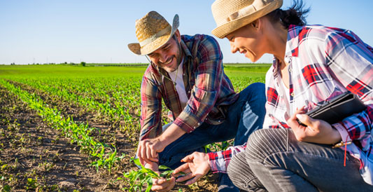 Curso da GESTÃO DE CRÉDITOS - Curso e Implementação: Atualizações da Nova Lei de CPR